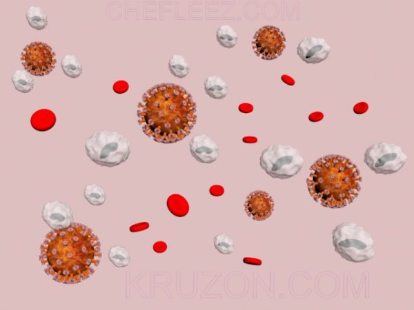 COVID19 virus, red and white blood cellscovid19 red white blood cells