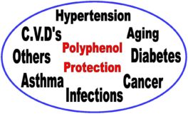 polyphenols benefits