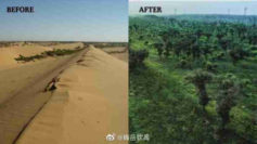 China reverses desertification