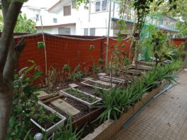 sq-ft-garden-bkk-img20210708113710