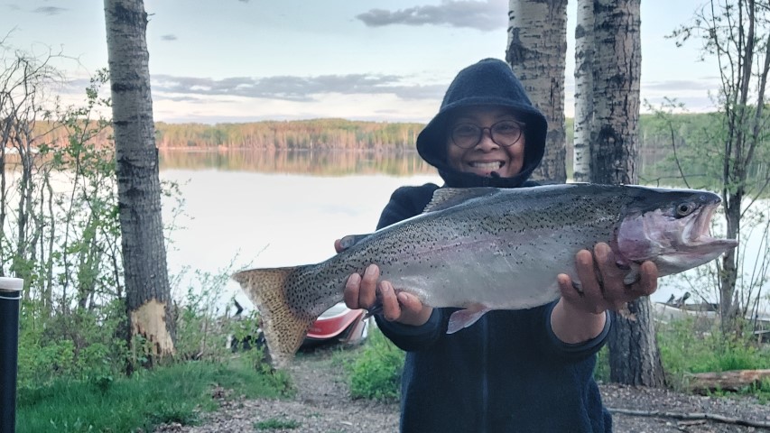 Large Rainbow Trout