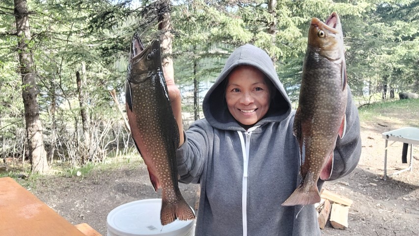 Two 44 cm Eastern Brook Trout